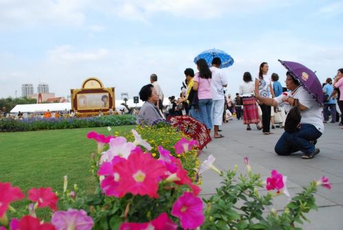 ดอกไม้ในนิทรรศการพระเมรุ